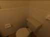 3728-Carman-3-Bathroom